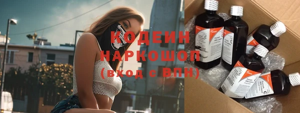 гидра Кодинск