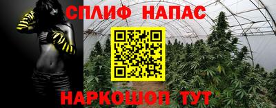 mdma Гай