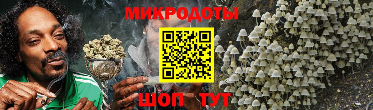 Галлюциногенные грибы GOLDEN TEACHER  Вход с VPN  Полевской 