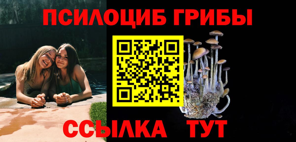 Галлюциногенные грибы Cubensis Полевской