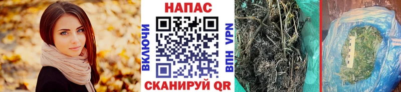 Бошки Шишки MAZAR  Полевской 